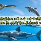 収斂進化とは？わかりやすく解説｜動物・魚・爬虫類の具体例まとめ