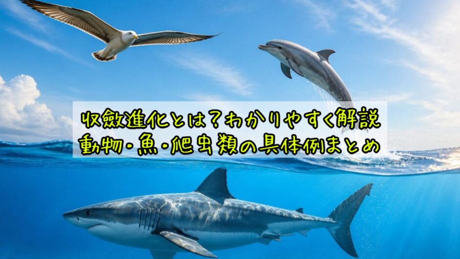 収斂進化とは？わかりやすく解説｜動物・魚・爬虫類の具体例まとめ