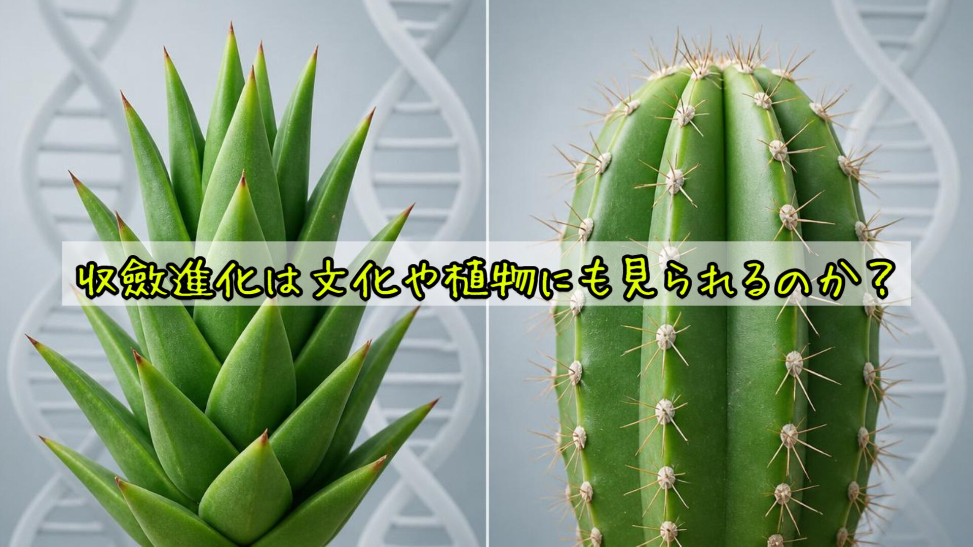 収斂進化は文化や植物にも見られるのか?