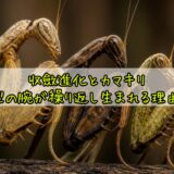 記事1898アイキャッチ