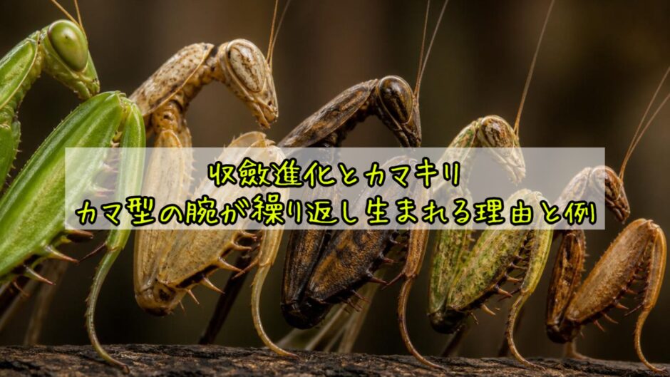 記事1898アイキャッチ