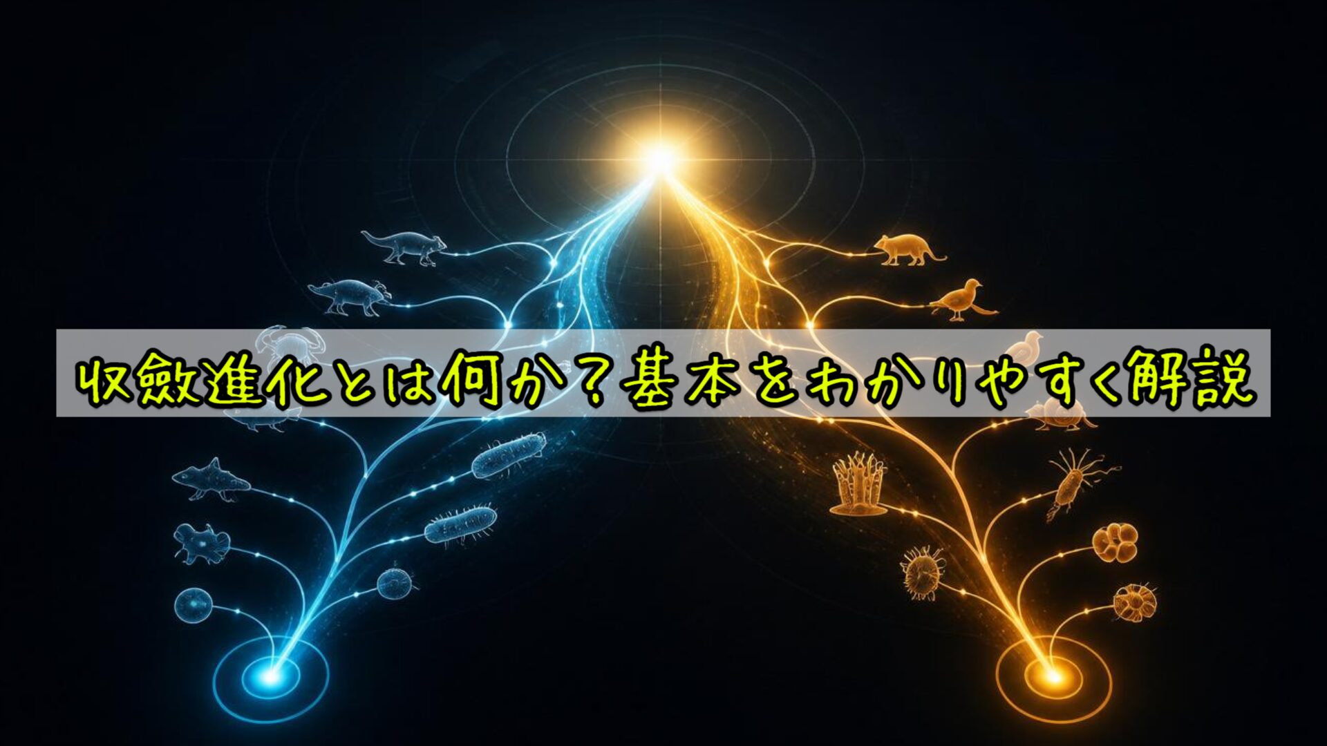 収斂進化とは何か？基本をわかりやすく解説