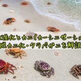 記事1900アイキャッチ