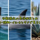 記事1897アイキャッチ