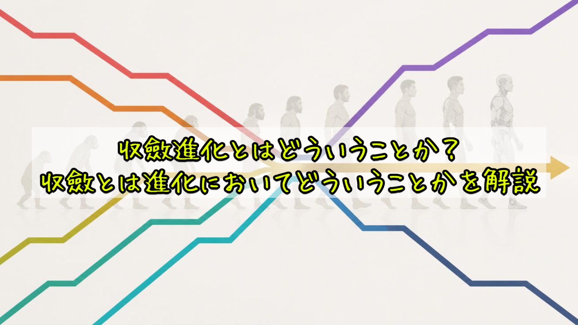 収斂進化とはどういうことか？収斂とは進化においてどういうことかを解説