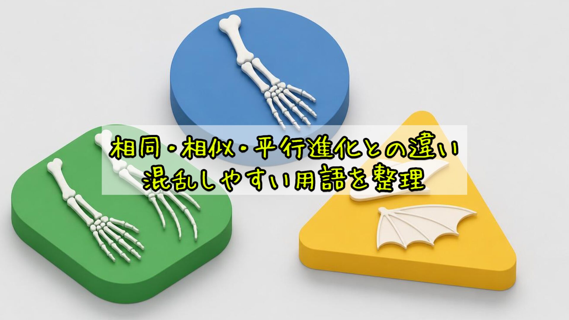 相同・相似・平行進化との違い：混乱しやすい用語を整理