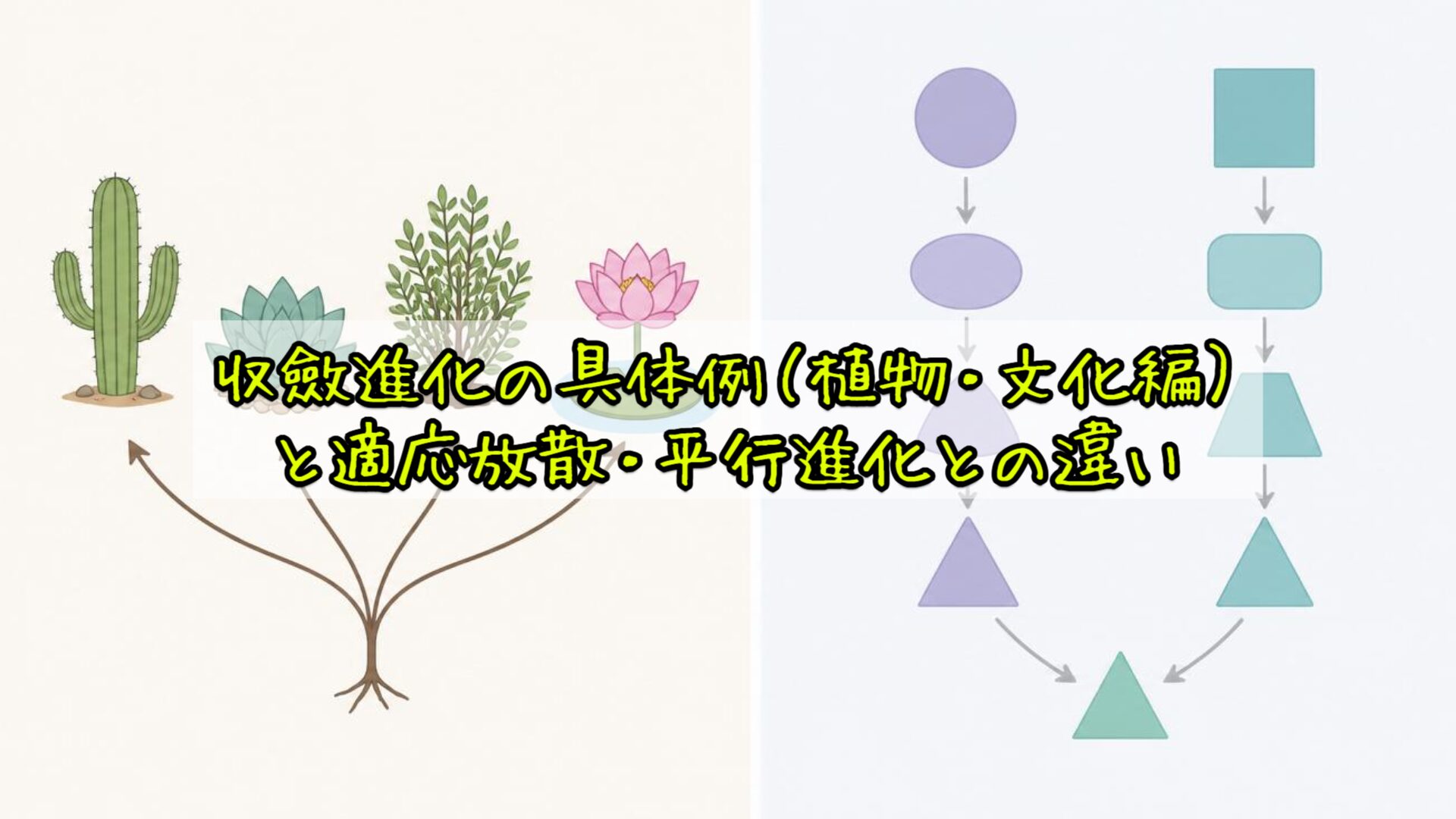 収斂進化の具体例（植物・文化編）と適応放散・平行進化との違い