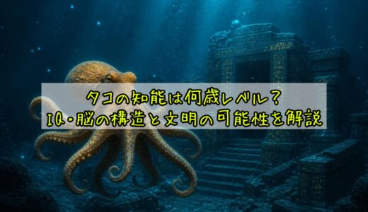 タコの知能は何歳レベル？IQ・脳の構造と文明の可能性を解説