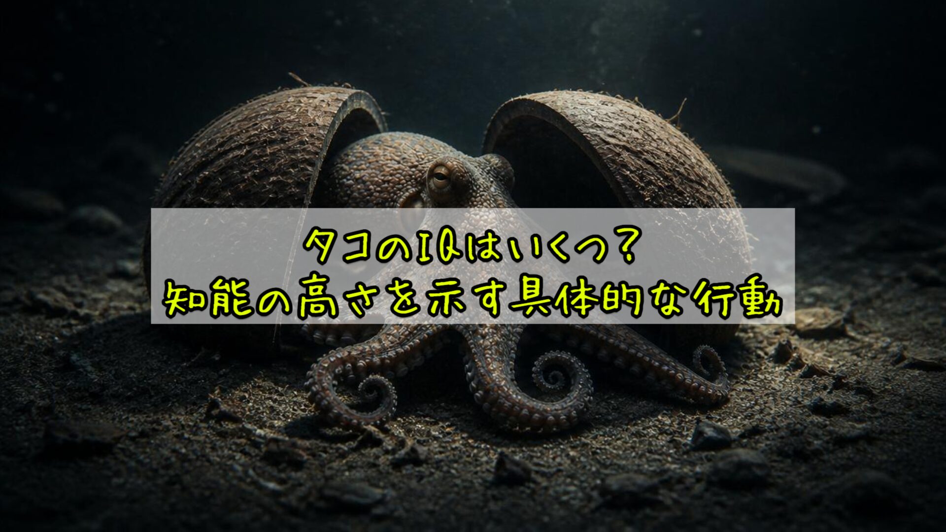 タコのIQはいくつ?知能の高さを示す具体的な行動