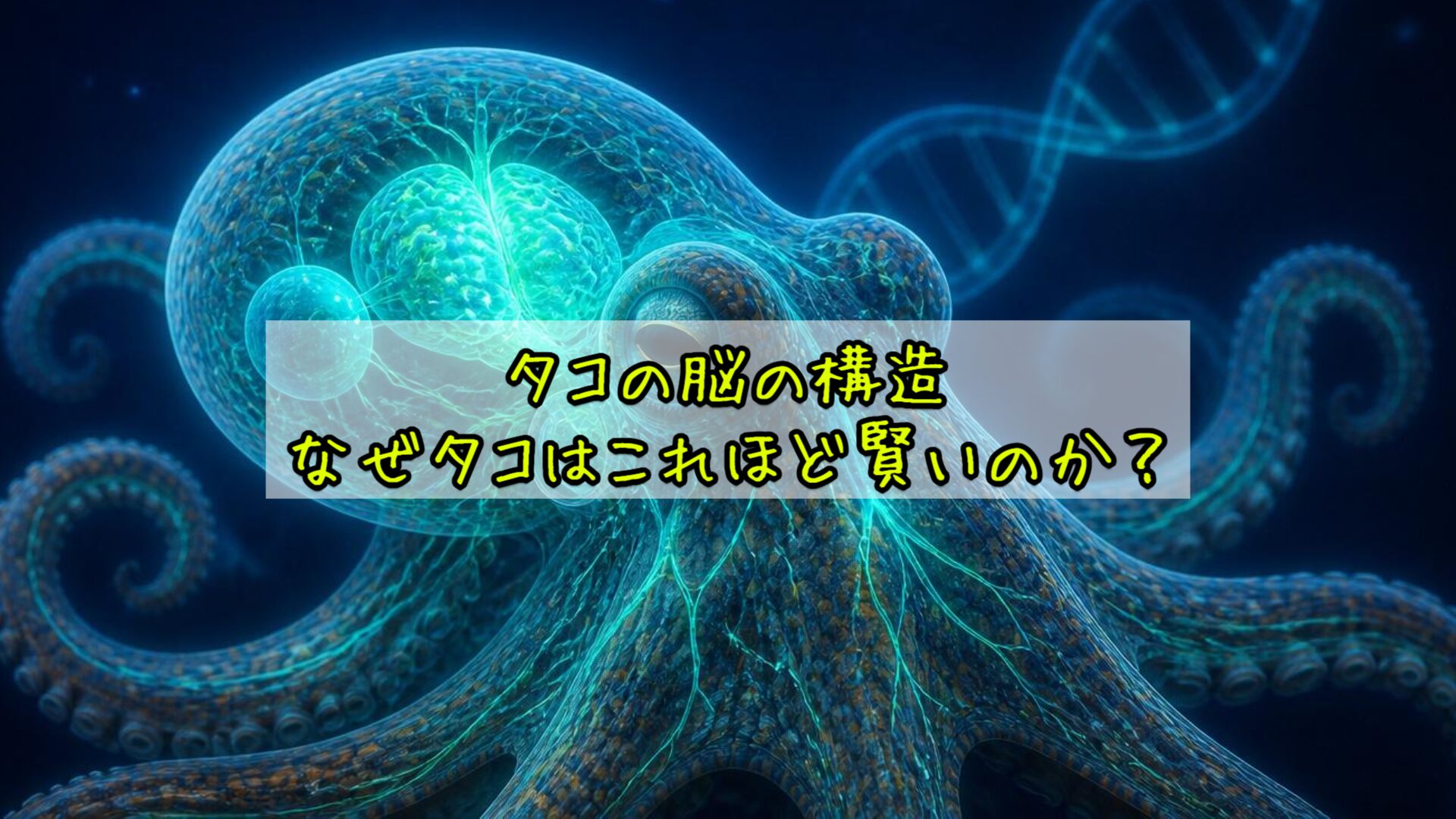 タコの脳の構造:なぜタコはこれほど賢いのか?