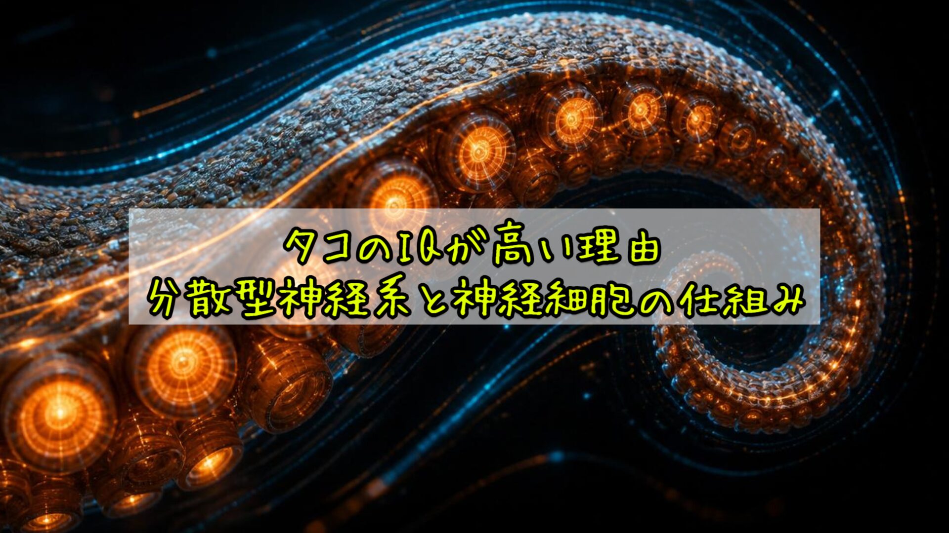タコのIQが高い理由:分散型神経系と神経細胞の仕組み