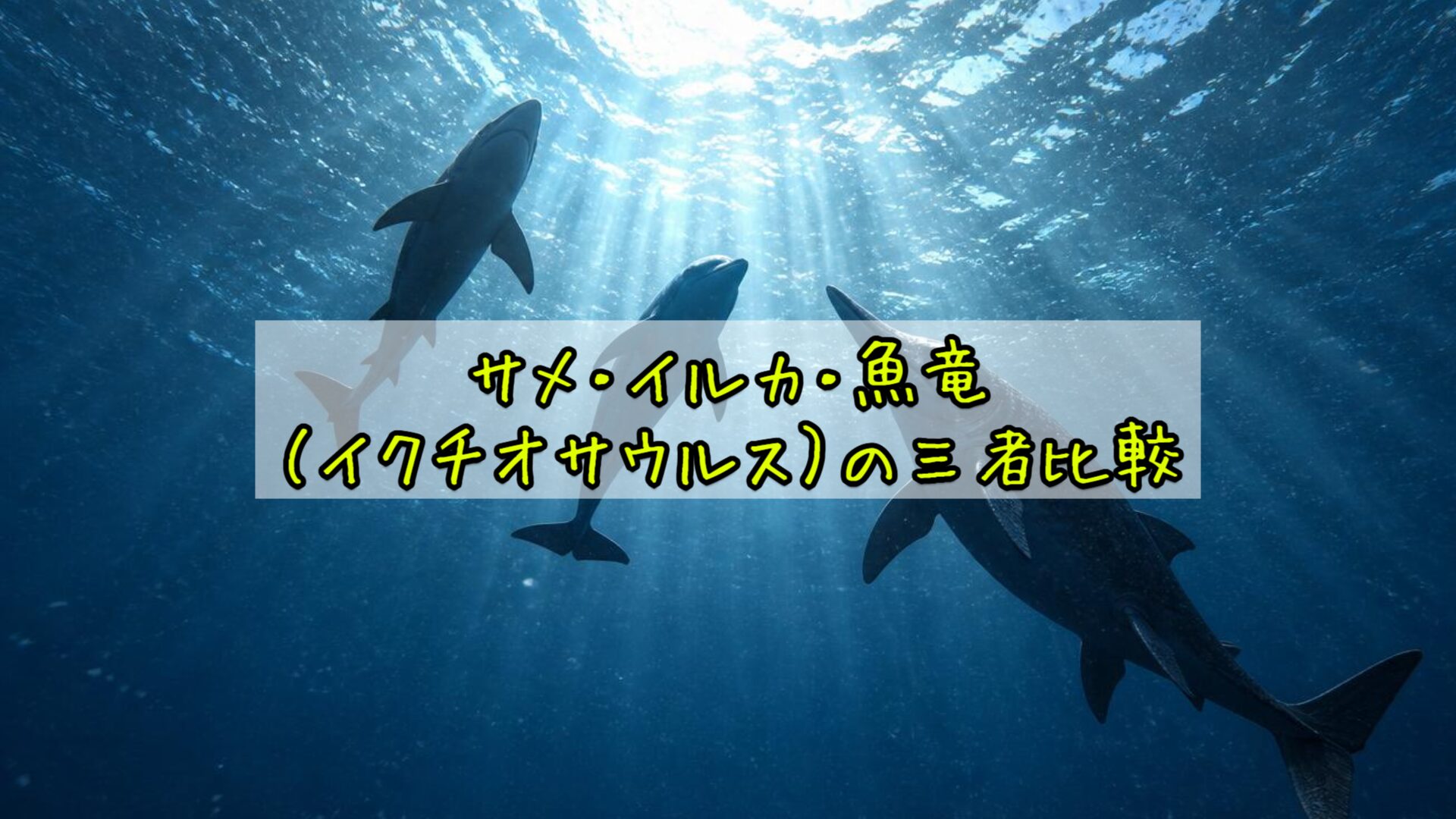 サメ・イルカ・魚竜（イクチオサウルス）の三者比較