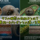 タコの擬態の仕組みとは？色素胞・カメレオンとの違いを解説
