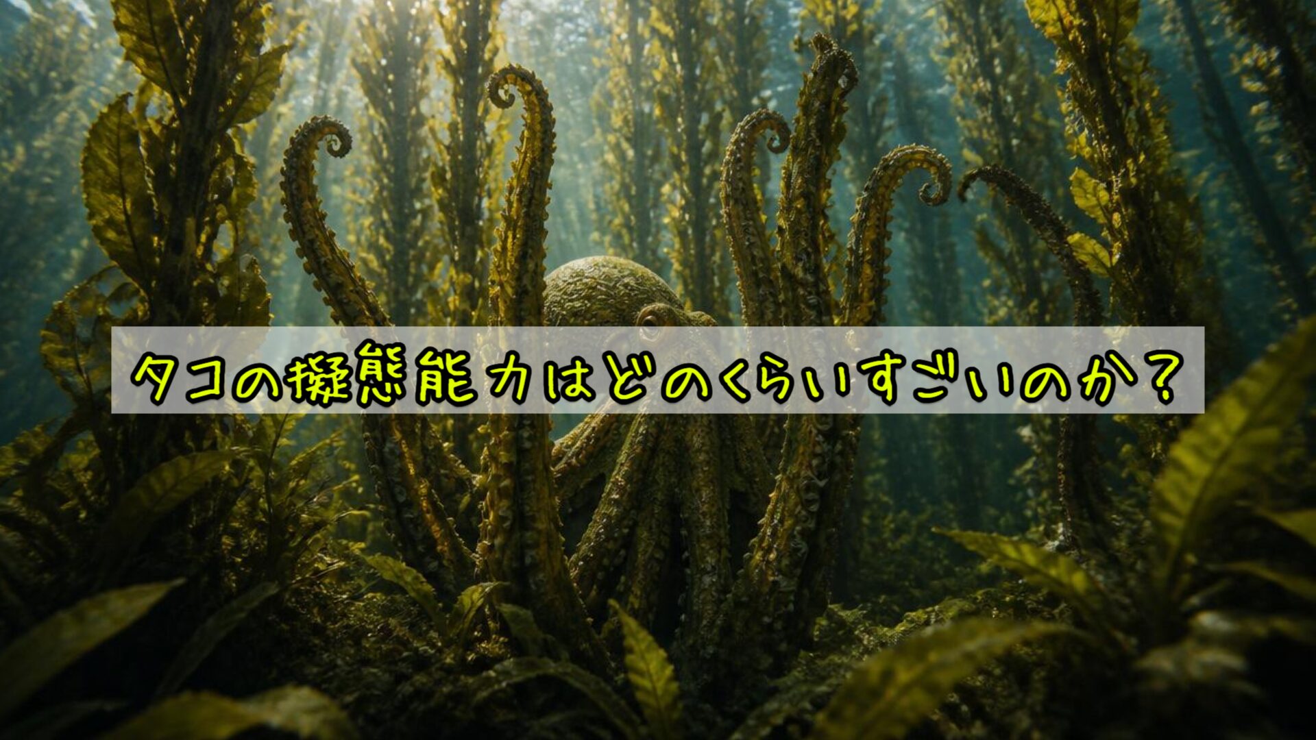 タコの擬態能力はどのくらいすごいのか?