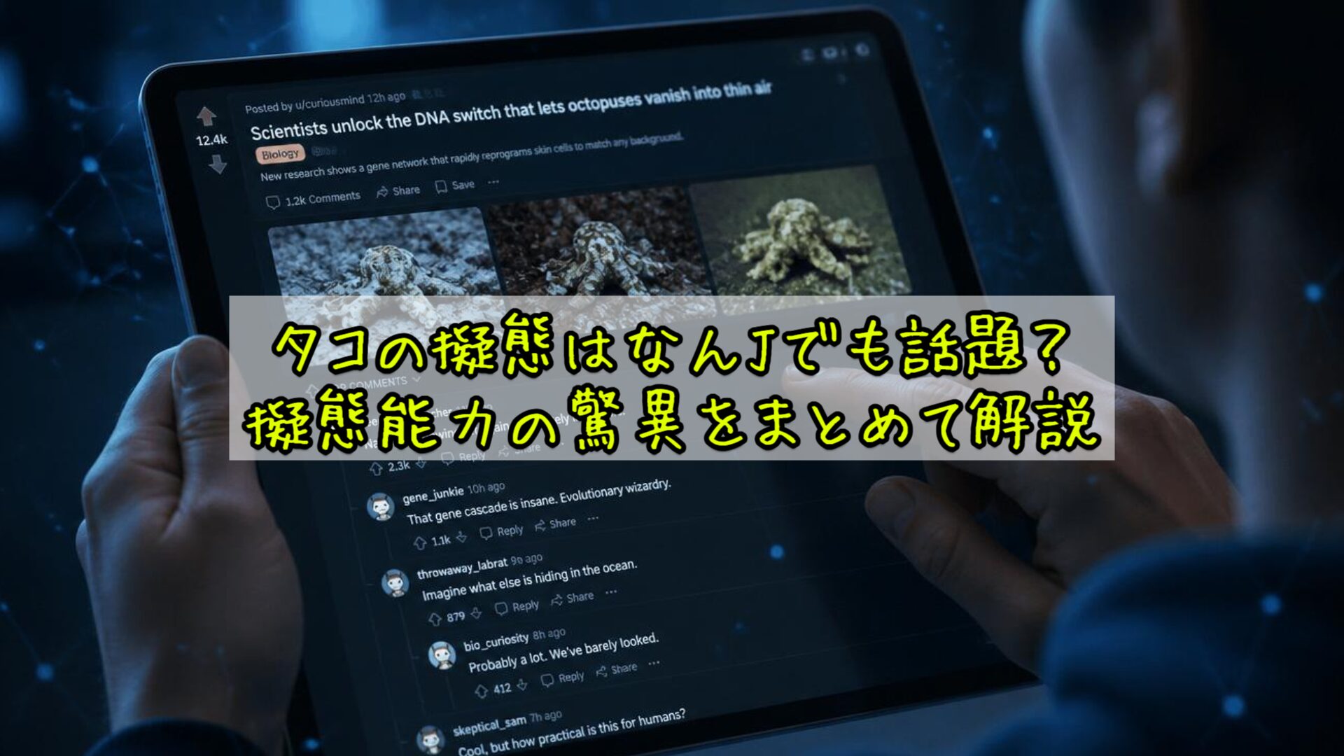 タコの擬態はなんJでも話題?擬態能力の驚異をまとめて解説