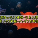 深海のタコ｜種類・生息水深・青いタコ新種・メンダコを解説