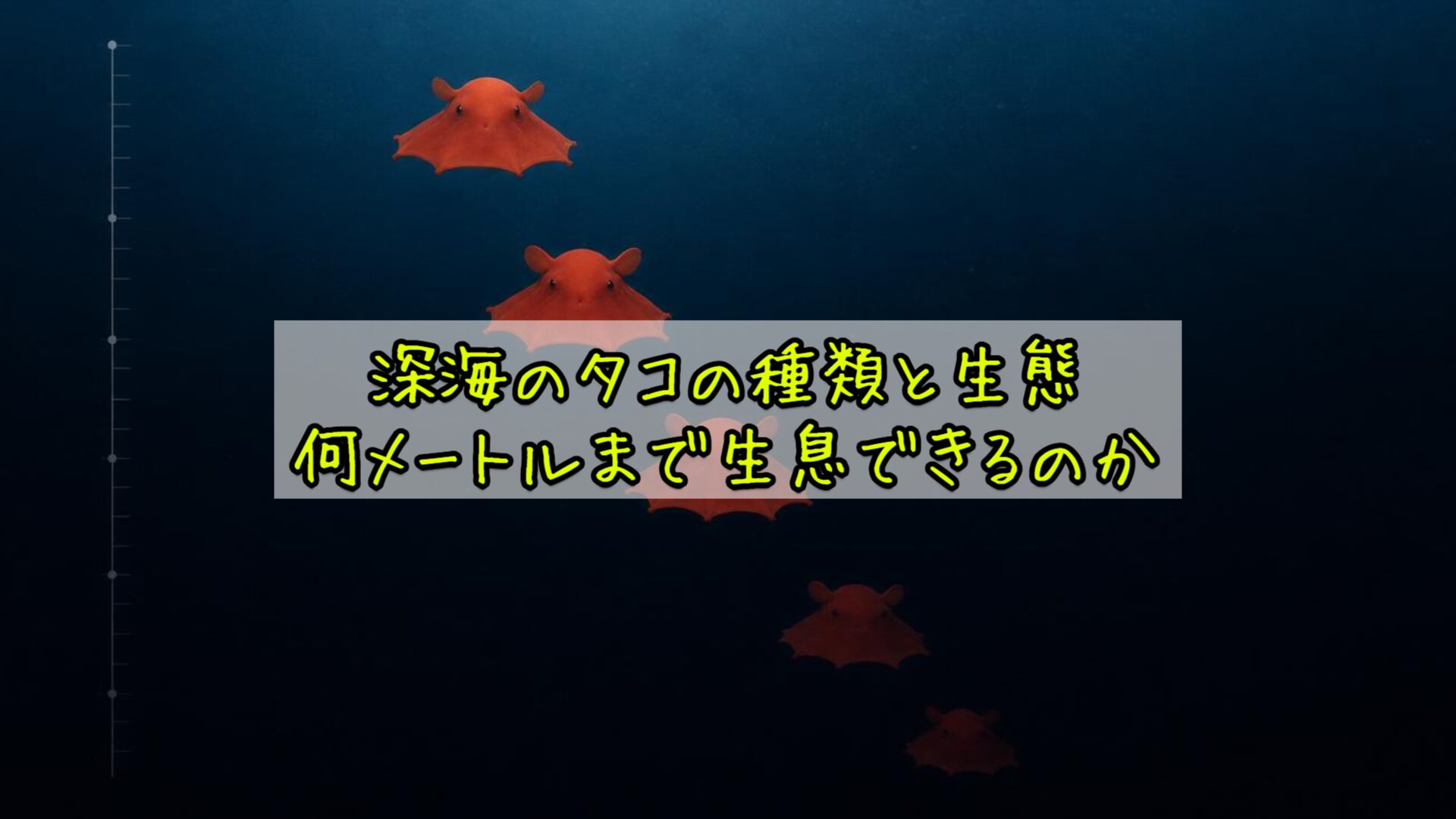深海のタコの種類と生態：何メートルまで生息できるのか