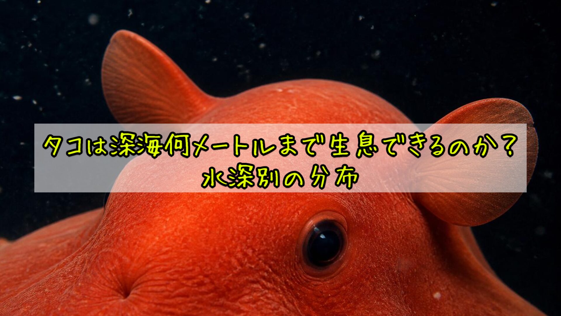 タコは深海何メートルまで生息できるのか？水深別の分布