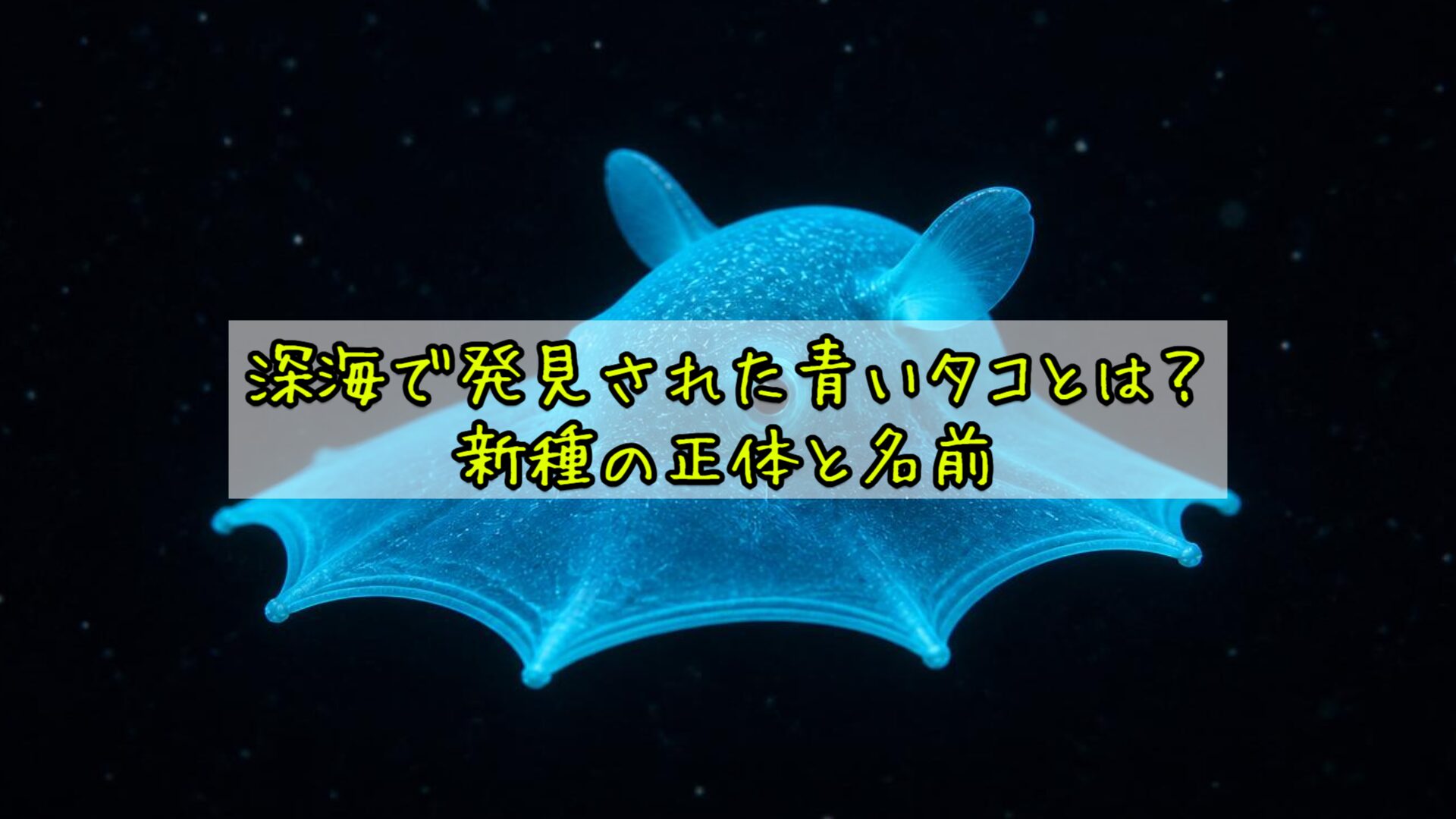 深海で発見された青いタコとは？新種の正体と名前