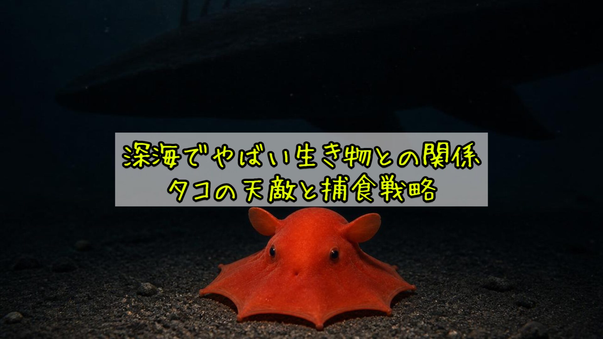 深海でやばい生き物との関係：タコの天敵と捕食戦略