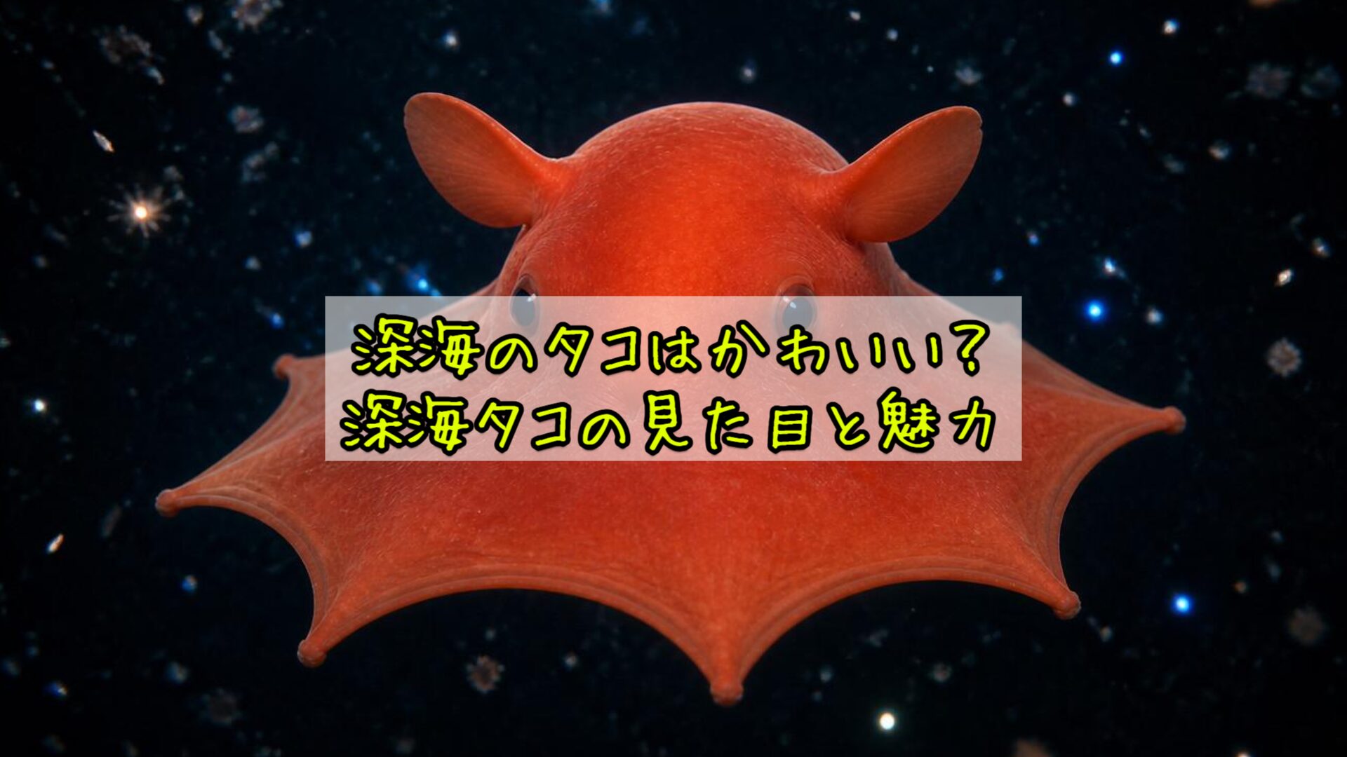深海のタコはかわいい？深海タコの見た目と魅力