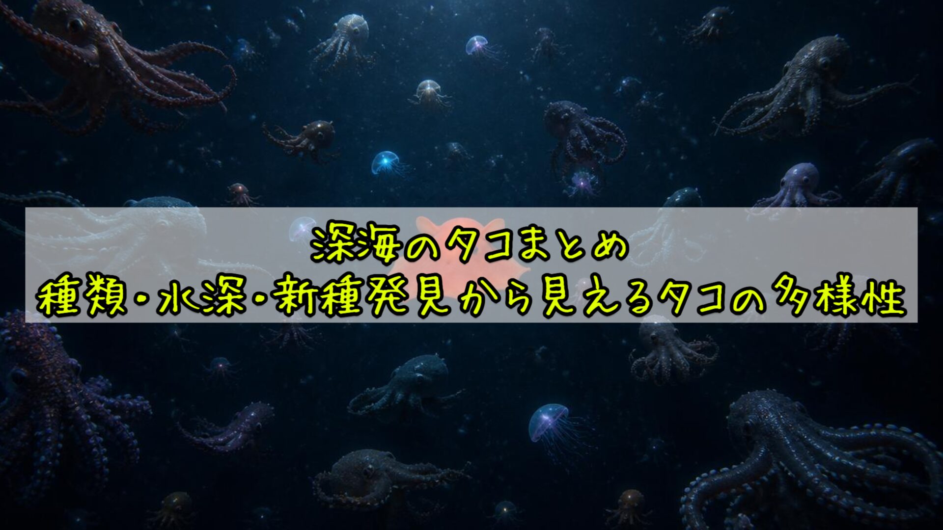 深海のタコまとめ：種類・水深・新種発見から見えるタコの多様性