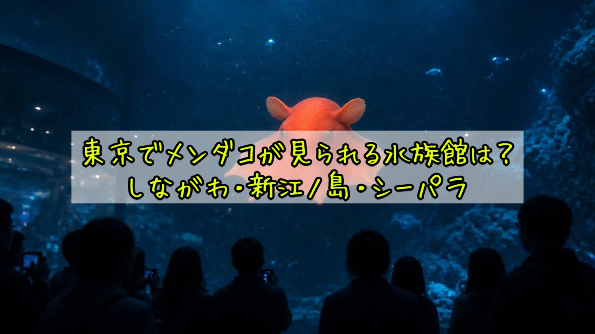 東京でメンダコが見られる水族館は？しながわ・新江ノ島・シーパラ