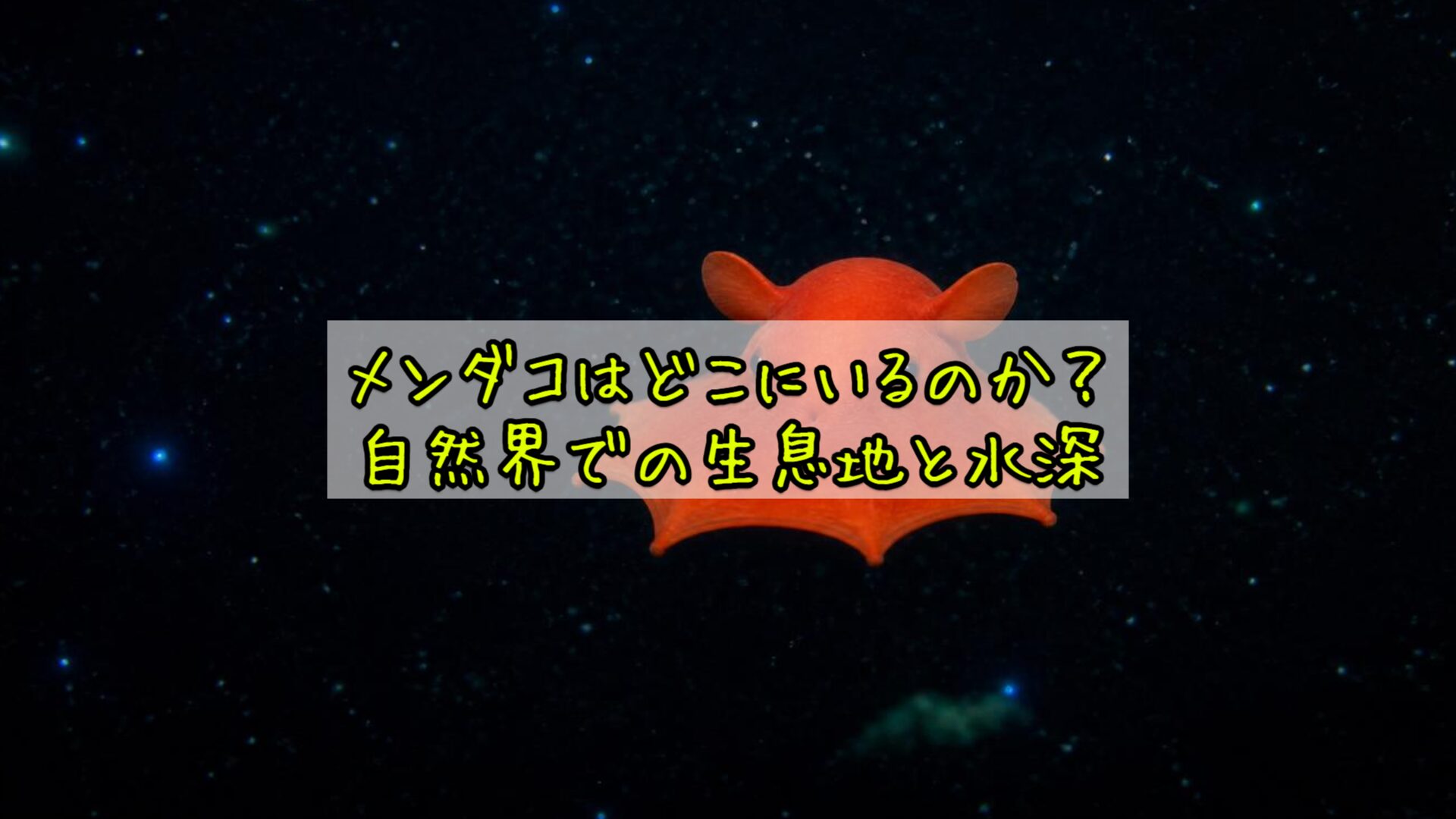 メンダコはどこにいるのか？自然界での生息地と水深