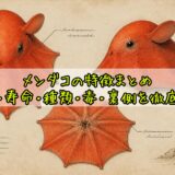 メンダコの特徴まとめ｜生態・寿命・種類・毒・裏側を徹底解説