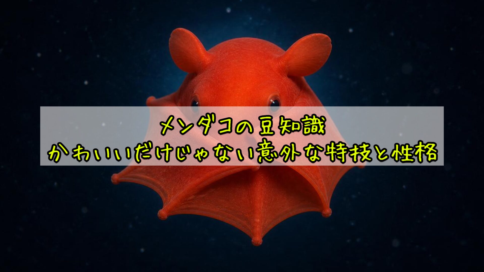 メンダコの豆知識：かわいいだけじゃない意外な特技と性格