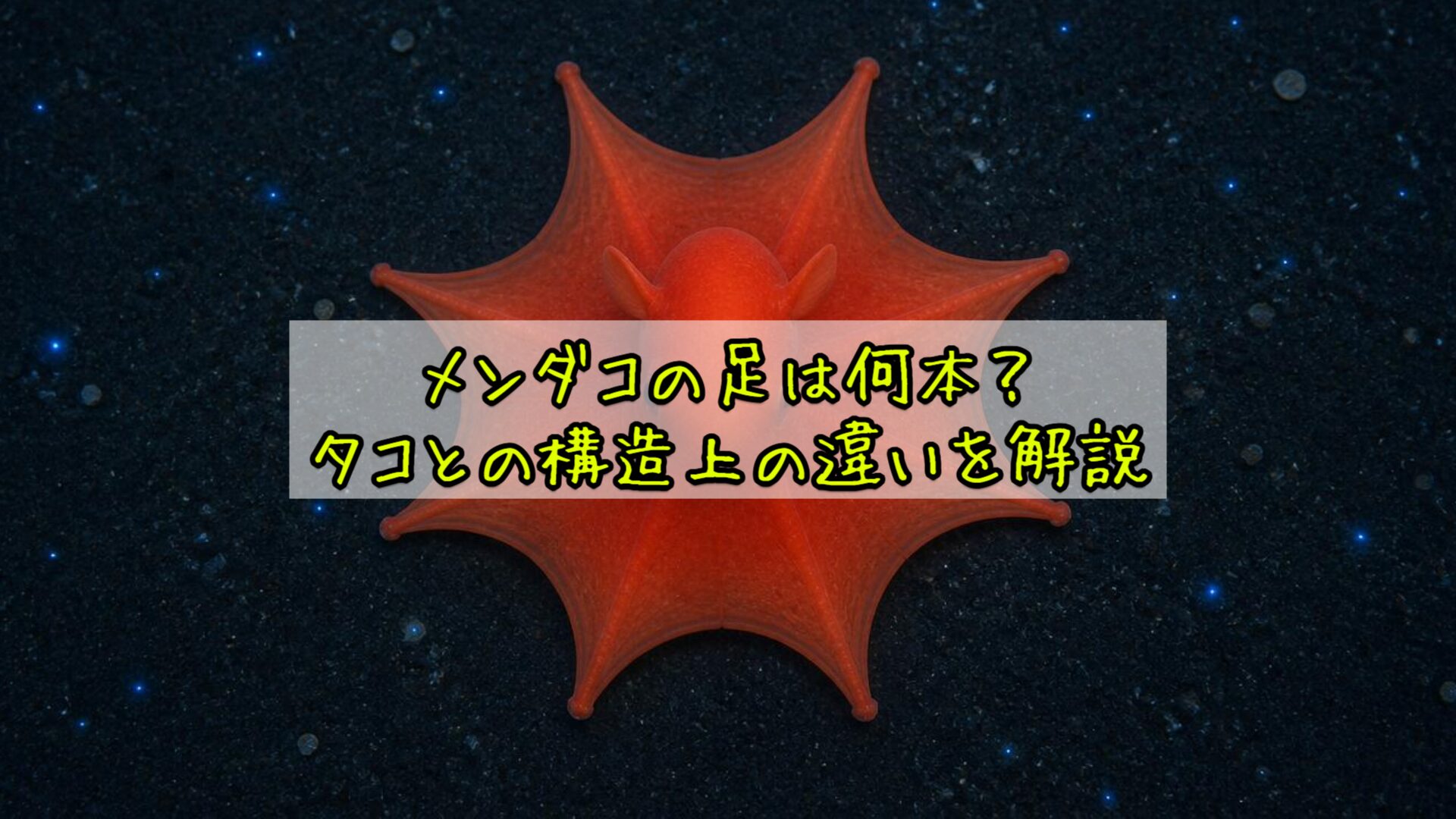 メンダコの足は何本？タコとの構造上の違いを解説