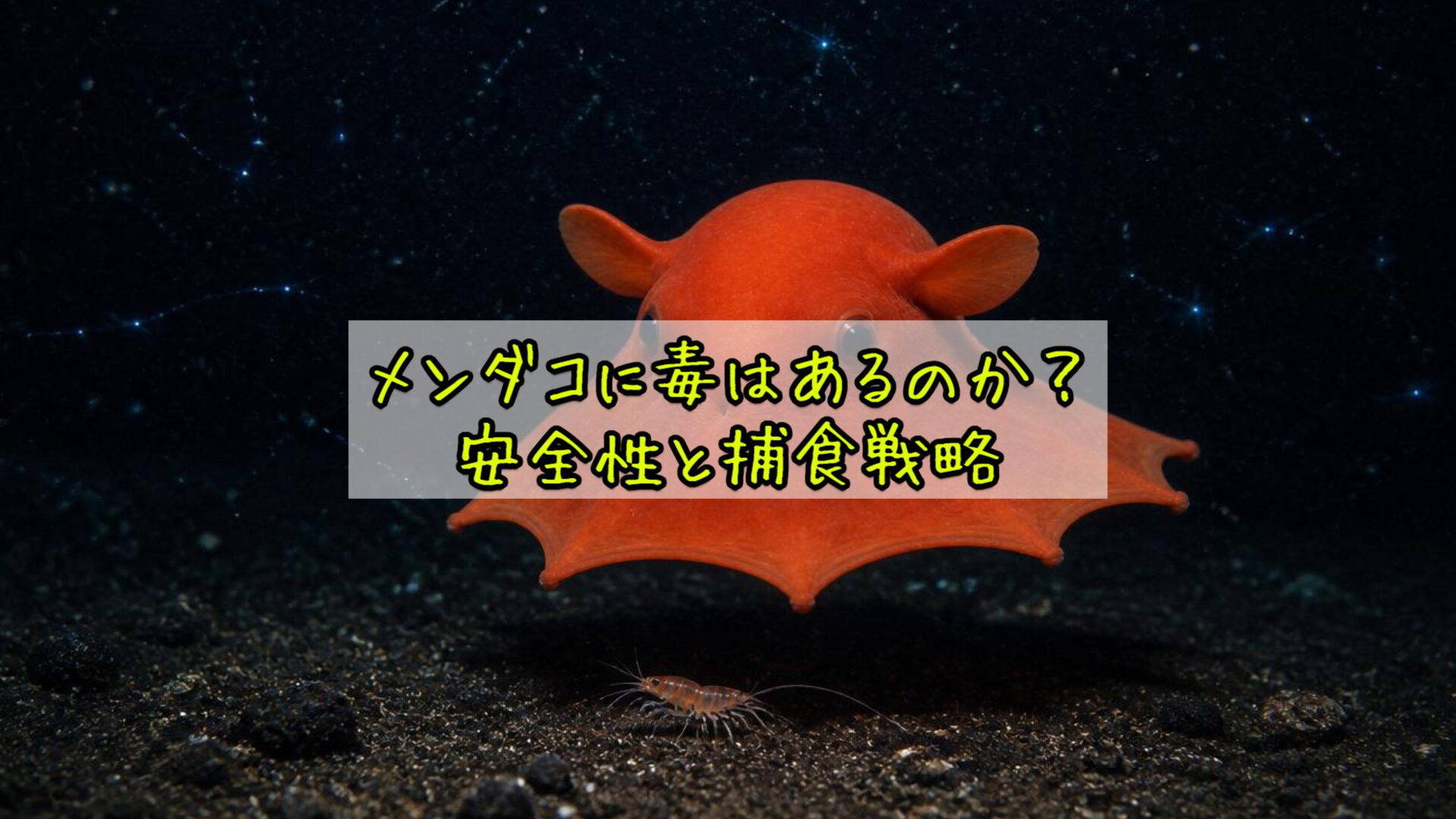 メンダコに毒はあるのか？安全性と捕食戦略