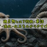 頭足類とは？特徴・英語・一覧・進化・化石をわかりやすく解説
