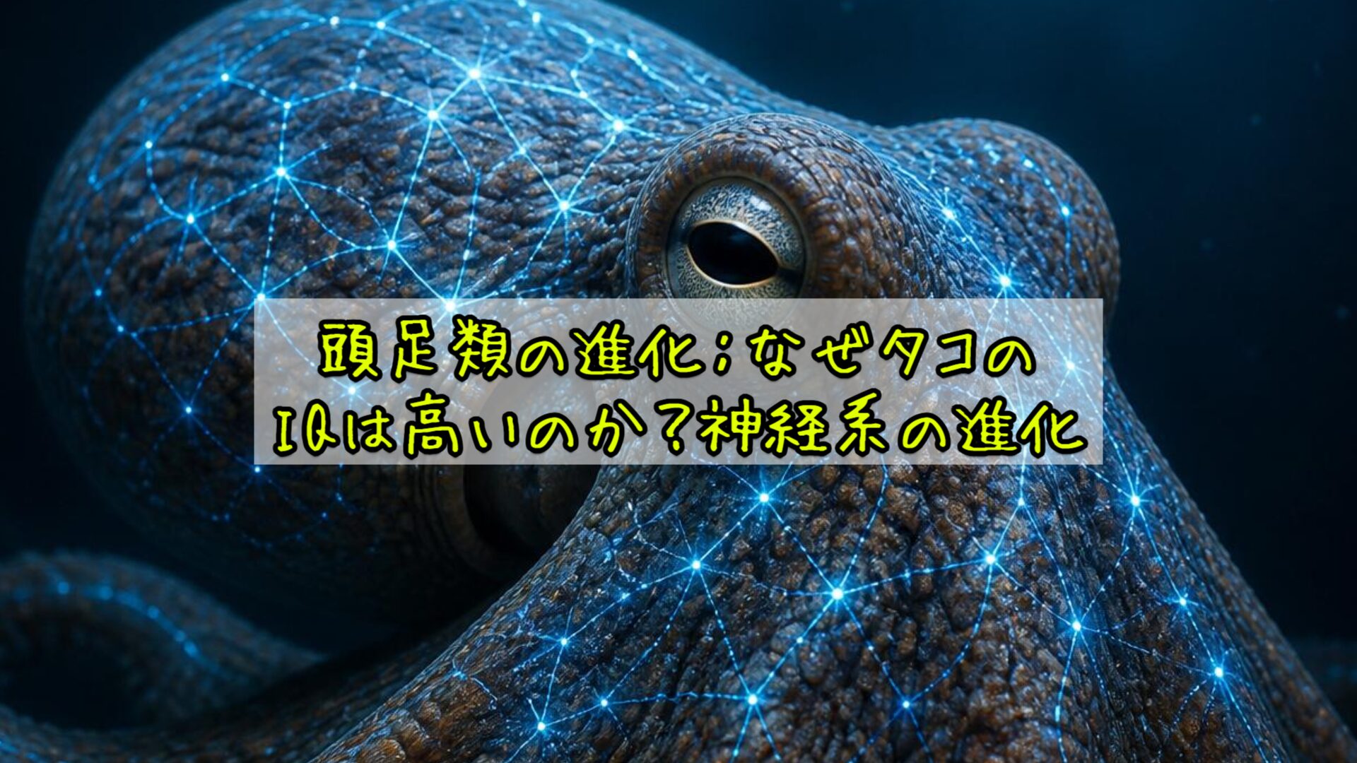 頭足類の進化：なぜタコのIQは高いのか？神経系の進化