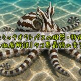 ミミックオクトパスの擬態・特徴・生態を徹底解説｜タコ界最強の変装名人