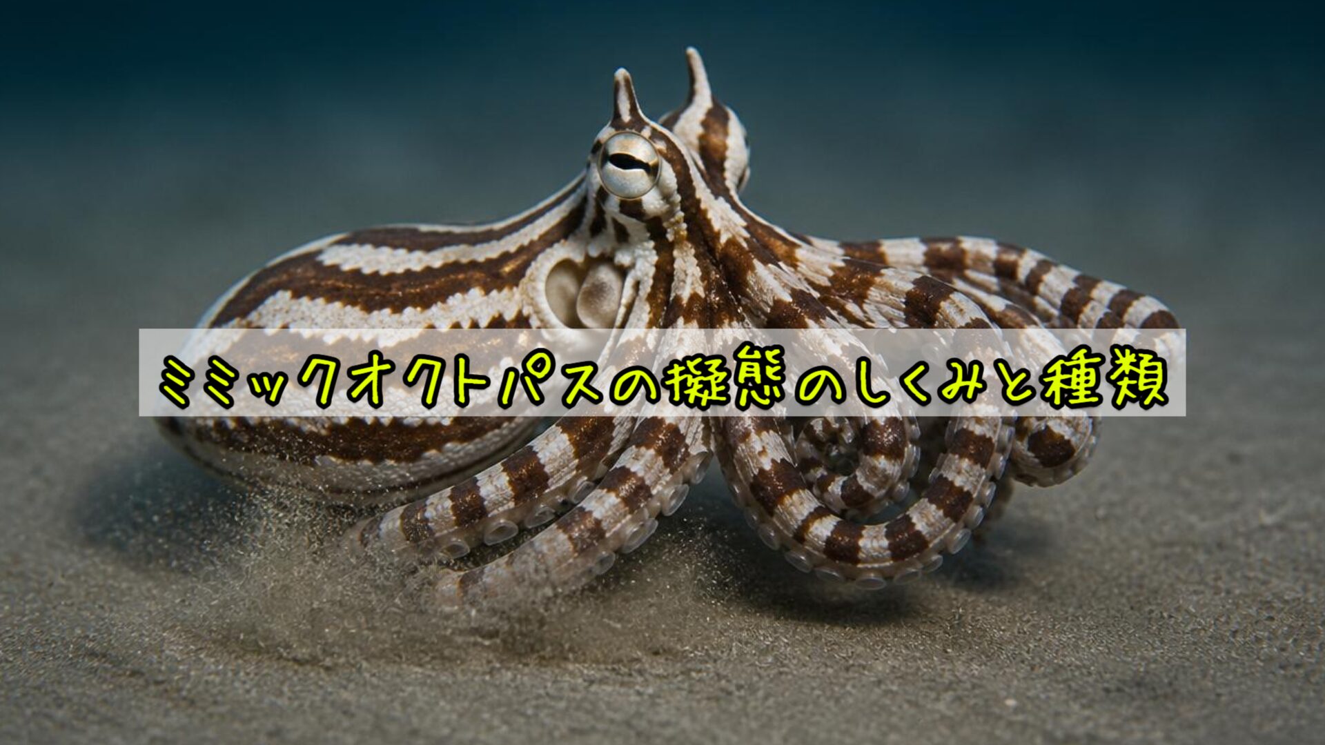ミミックオクトパスの擬態のしくみと種類