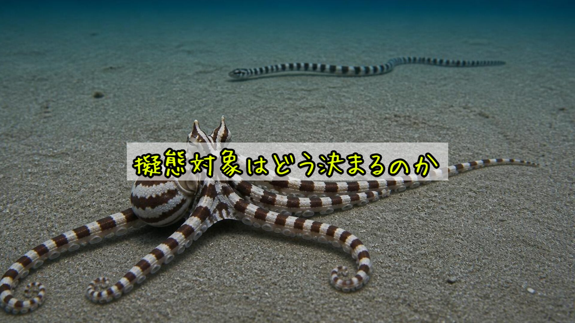 擬態対象はどう決まるのか