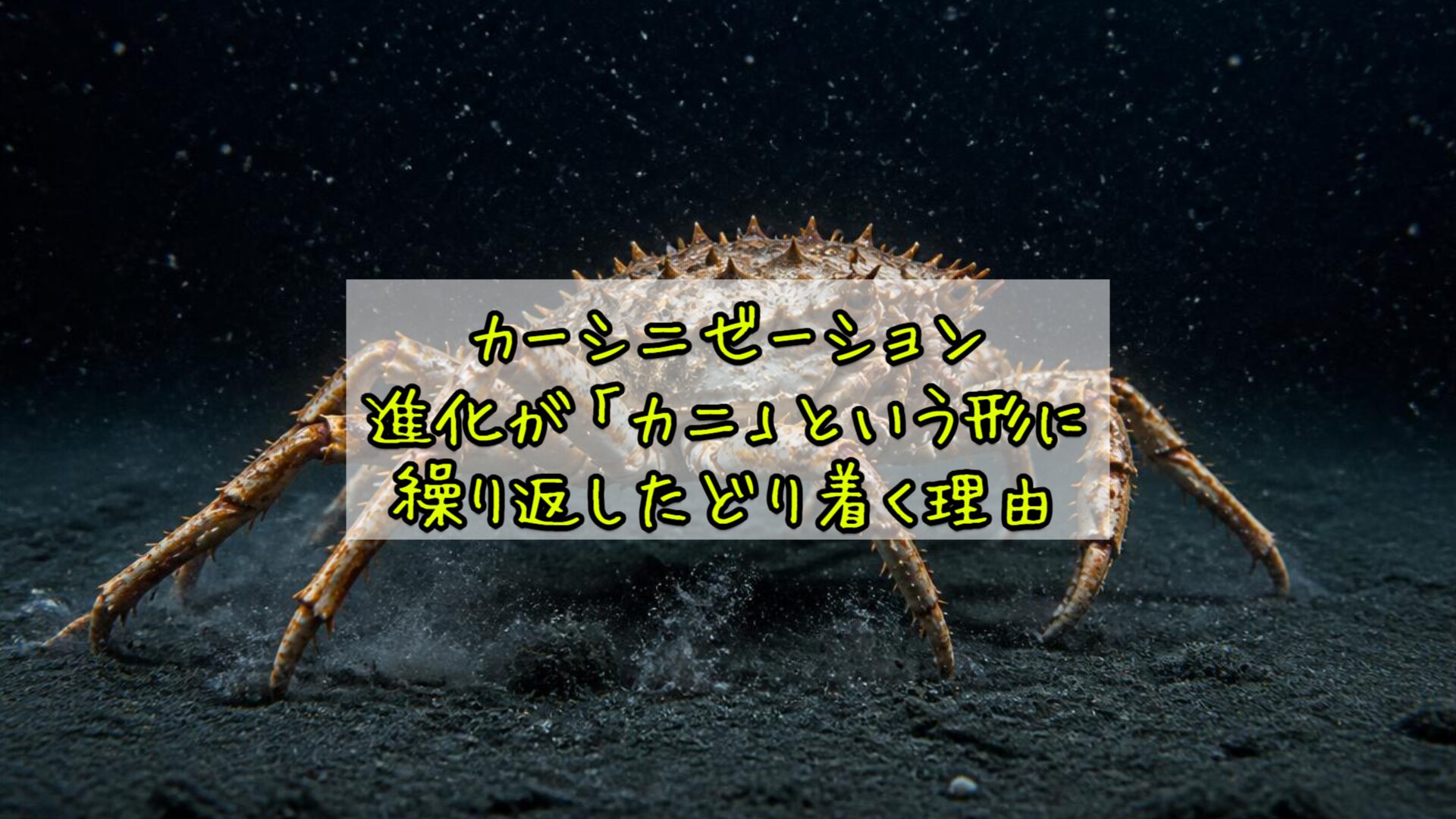 カーシニゼーション——進化が「カニ」という形に繰り返したどり着く理由