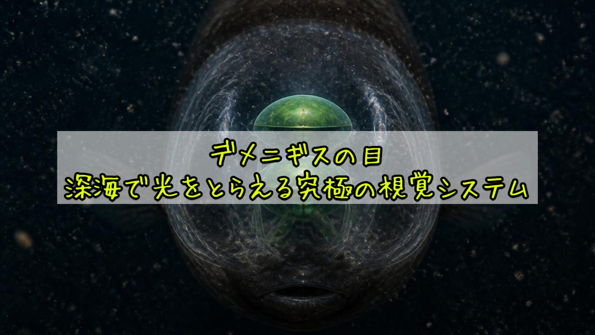 デメニギスの目——深海で光をとらえる究極の視覚システム