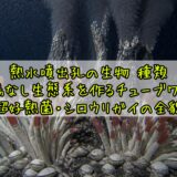 熱水噴出孔の生物 種類——太陽なし生態系を作るチューブワーム・超好熱菌・シロウリガイの全貌