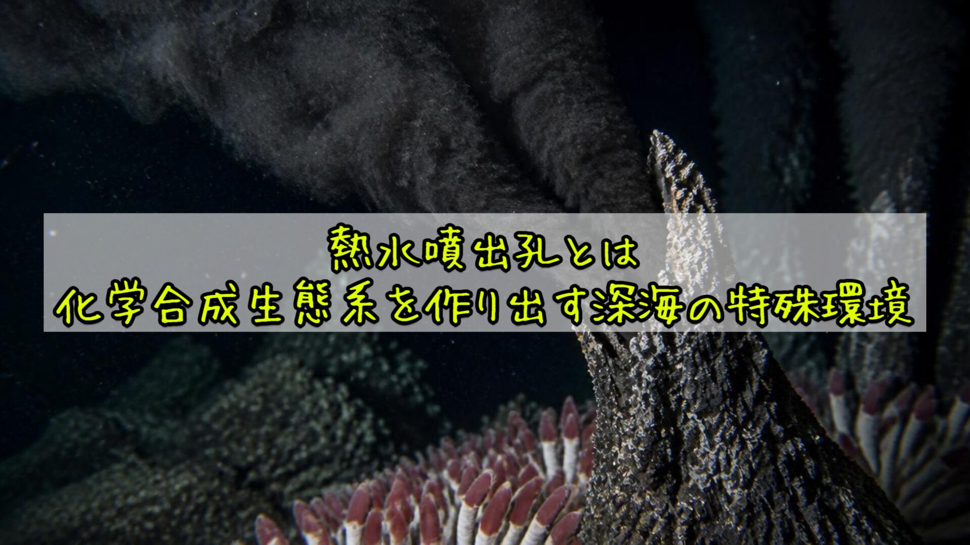 熱水噴出孔とは——化学合成生態系を作り出す深海の特殊環境