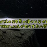 深海魚が住める限界の深さはなぜ8400m？——TMAOと水圧が作る生存の壁