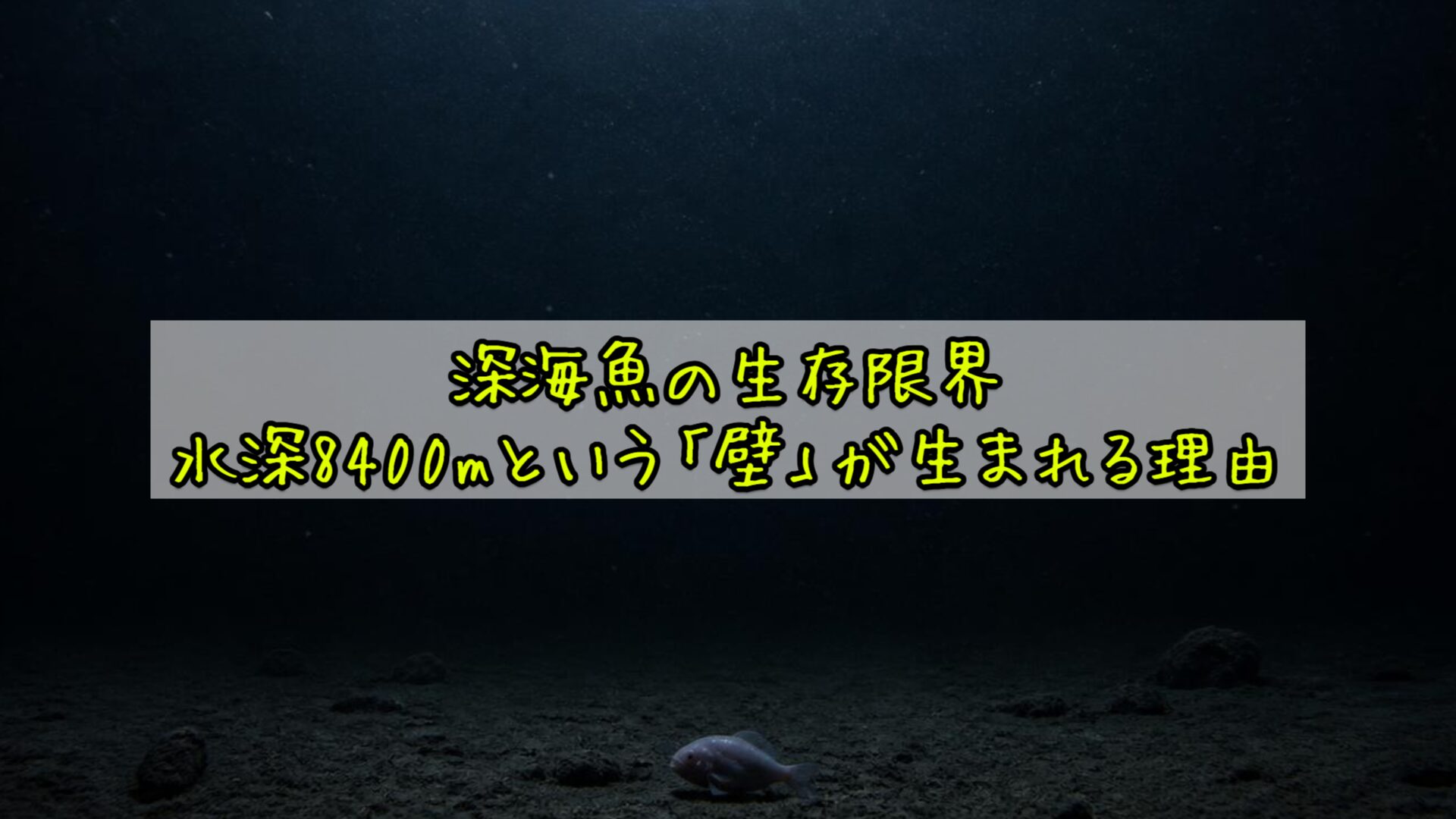 深海魚の生存限界——水深8400mという「壁」が生まれる理由