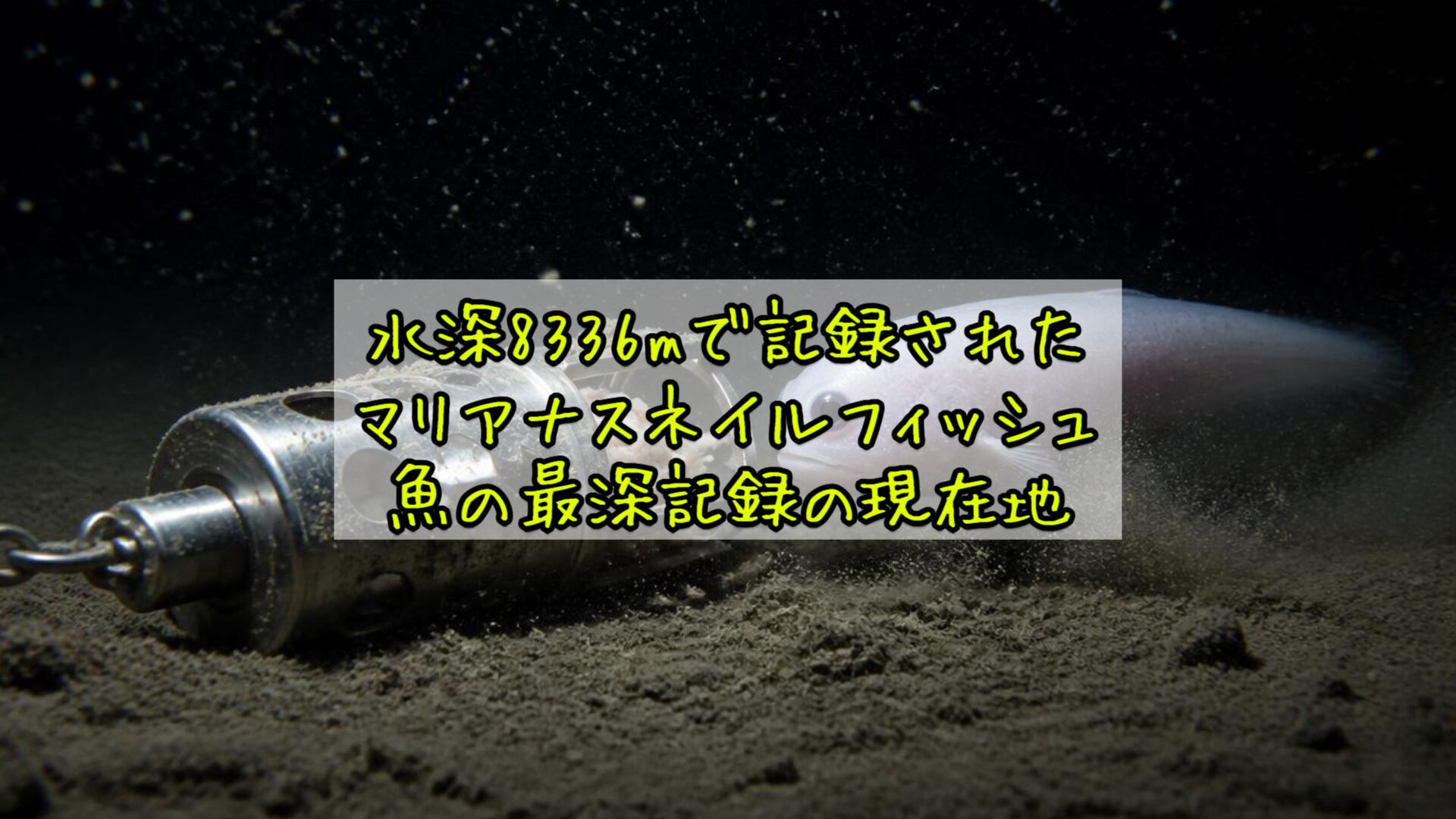 水深8336mで記録されたマリアナスネイルフィッシュ——魚の最深記録の現在地