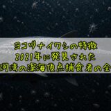 ヨコヅナイワシの特徴——2021年に発見された駿河湾の深海頂点捕食者の全貌