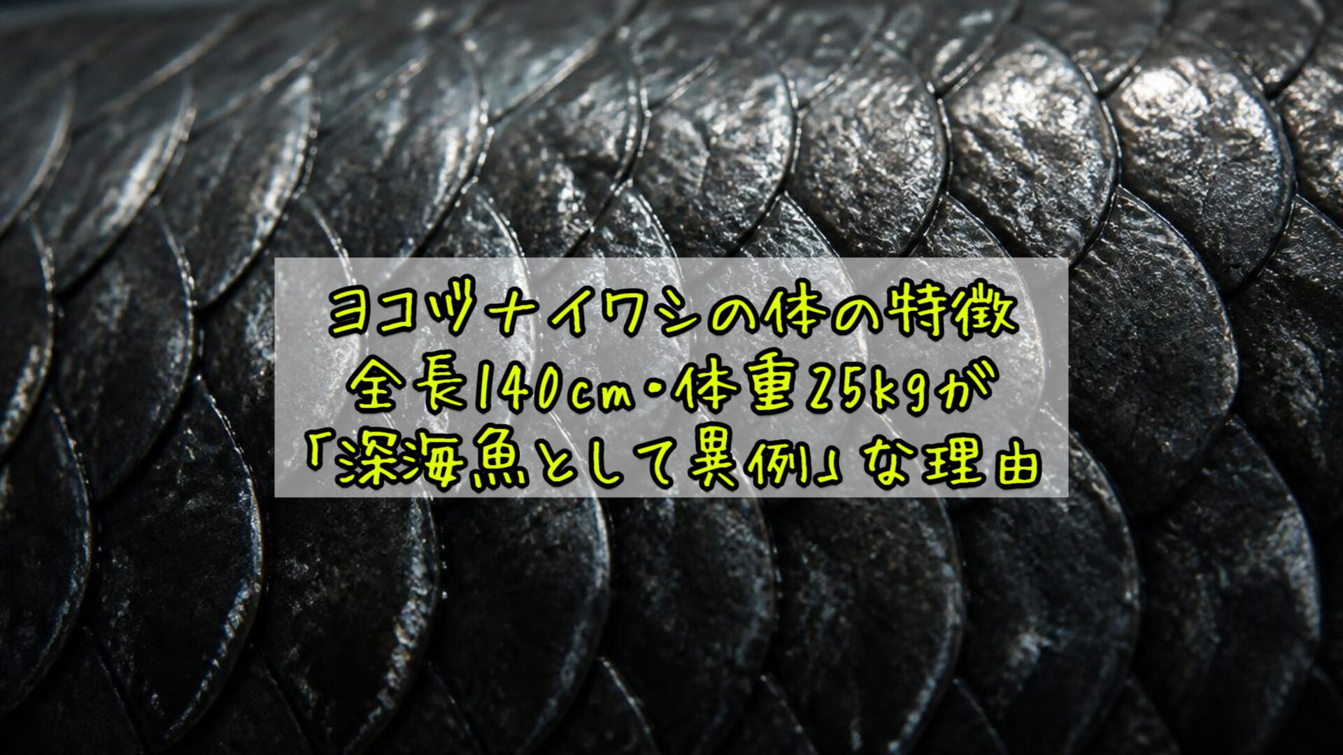 ヨコヅナイワシの体の特徴——全長140cm・体重25kgが「深海魚として異例」な理由