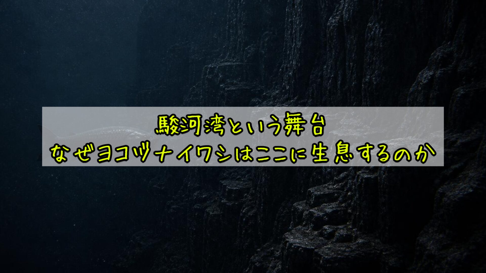 駿河湾という舞台——なぜヨコヅナイワシはここに生息するのか