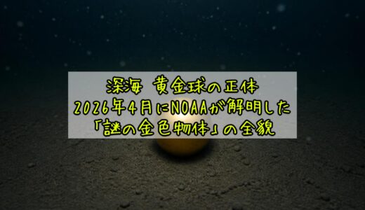 深海 黄金球の正体——2026年4月にNOAAが解明した「謎の金色物体」の全貌